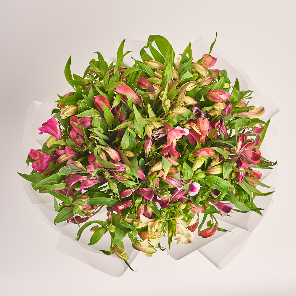 Product image , vendor code: 