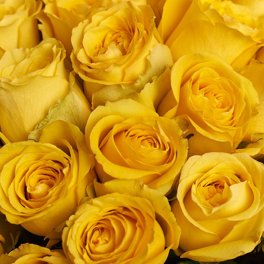 Изображение товара Букет 25 Желтых роз, артикул: 2945