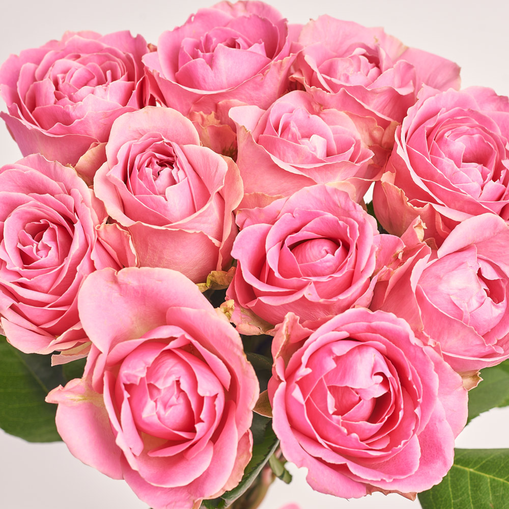 Product image Bouquet of 11 Pink Roses, packaging: Gradiens tiffany, vendor code: 2961