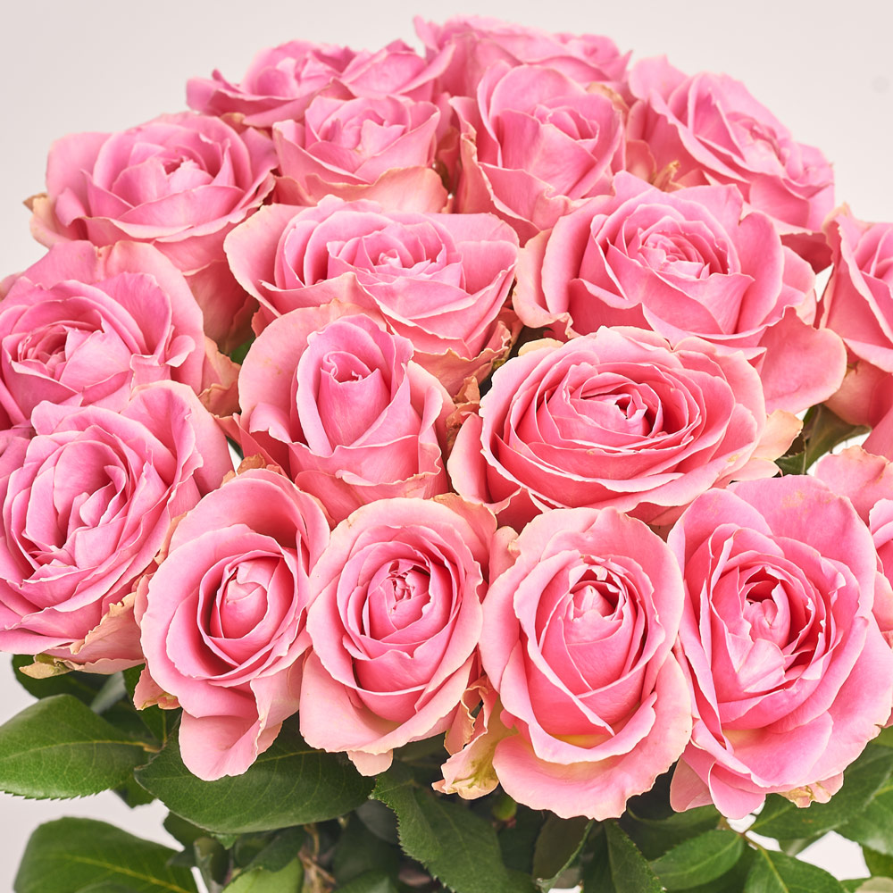 Product image Bouquet of 19 Pink Roses, packaging: Transparent, vendor code: 2963