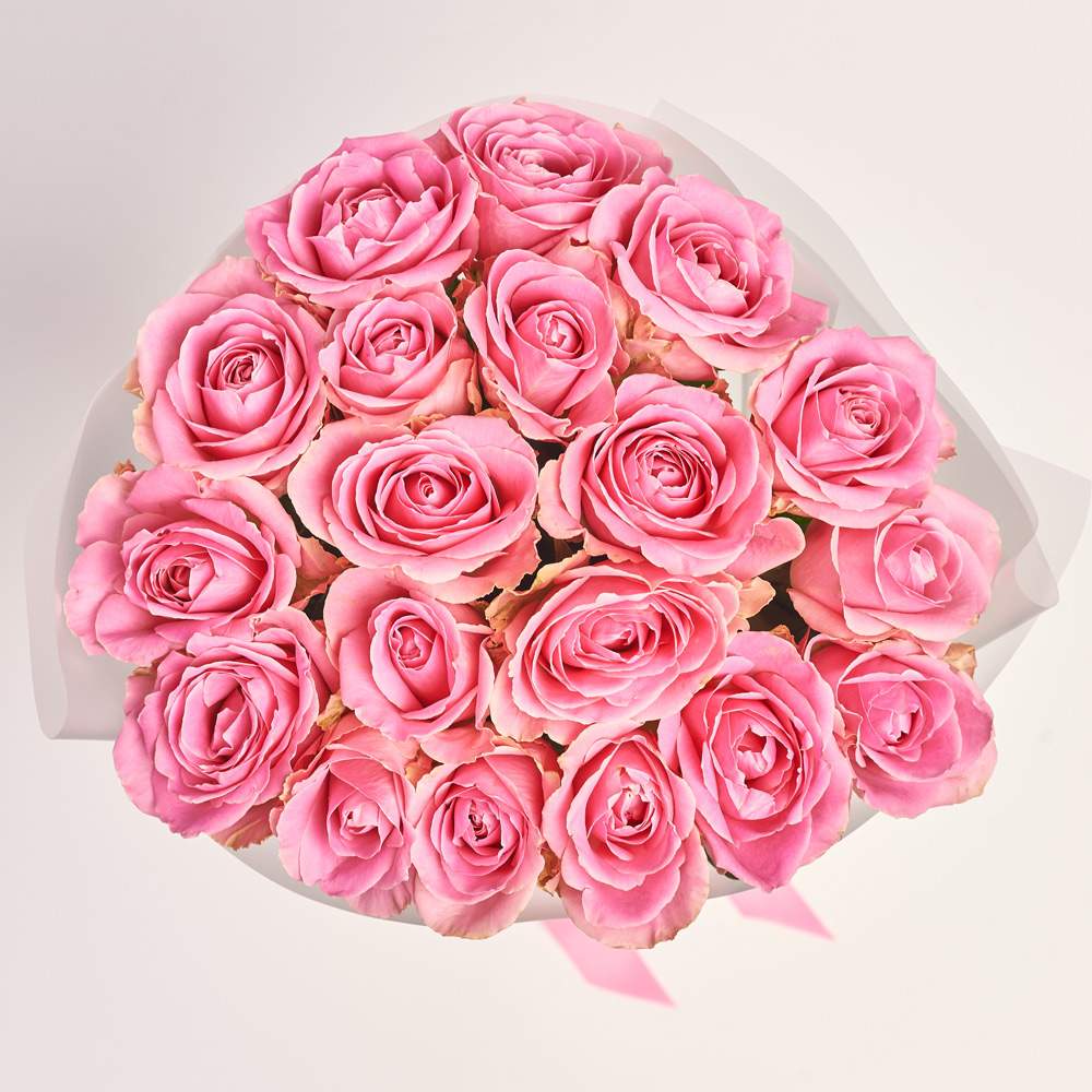 Product image Bouquet of 19 Pink Roses, packaging: Transparent, vendor code: 2963