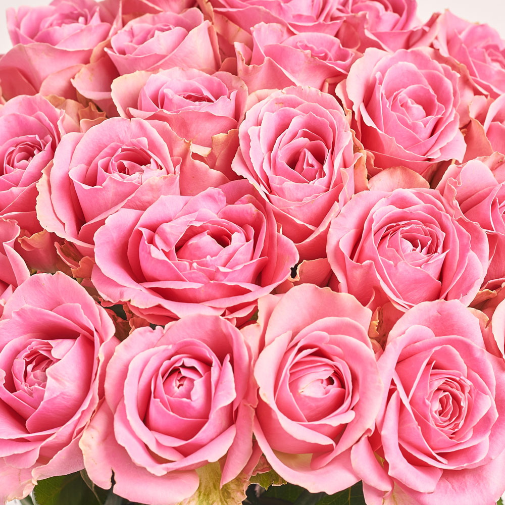 Product image Bouquet of 25 Pink Roses, packaging: Gradiens violet, vendor code: 2964