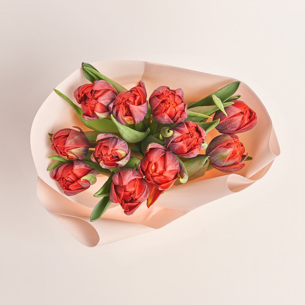 Product image Bouquet of 11 Red peony Tulips, packaging: Kafin cream, vendor code: 2986