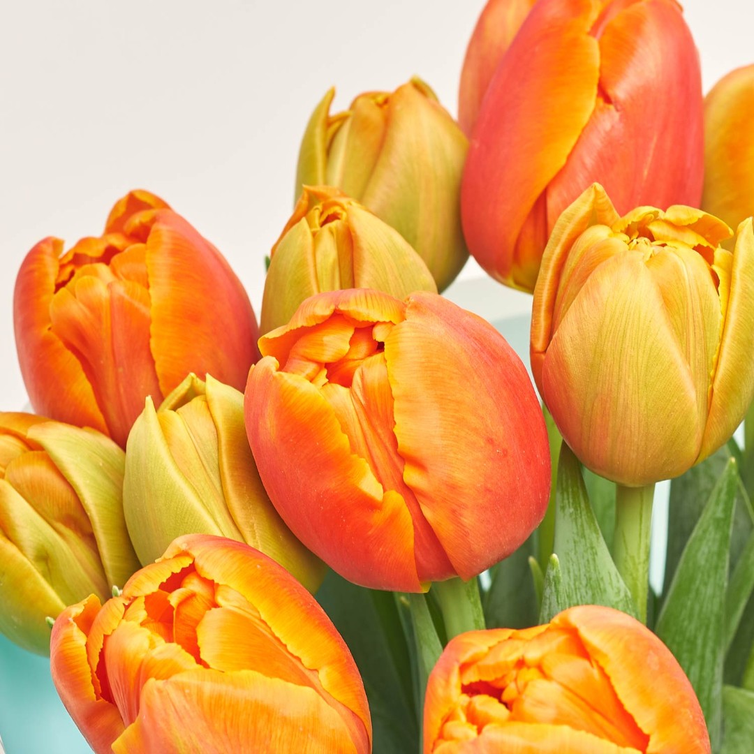 Product image Bouquet of 25 Orange Tulips, vendor code: 2989