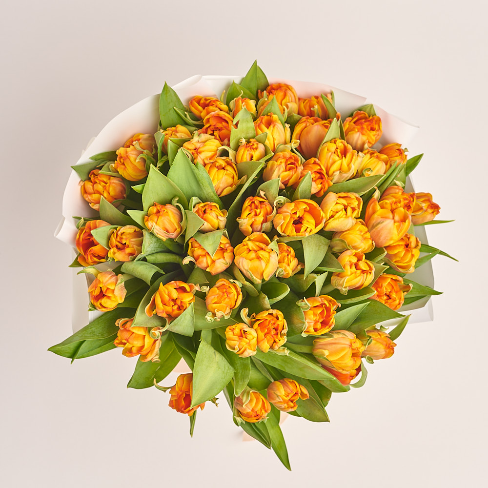 Product image , vendor code: 