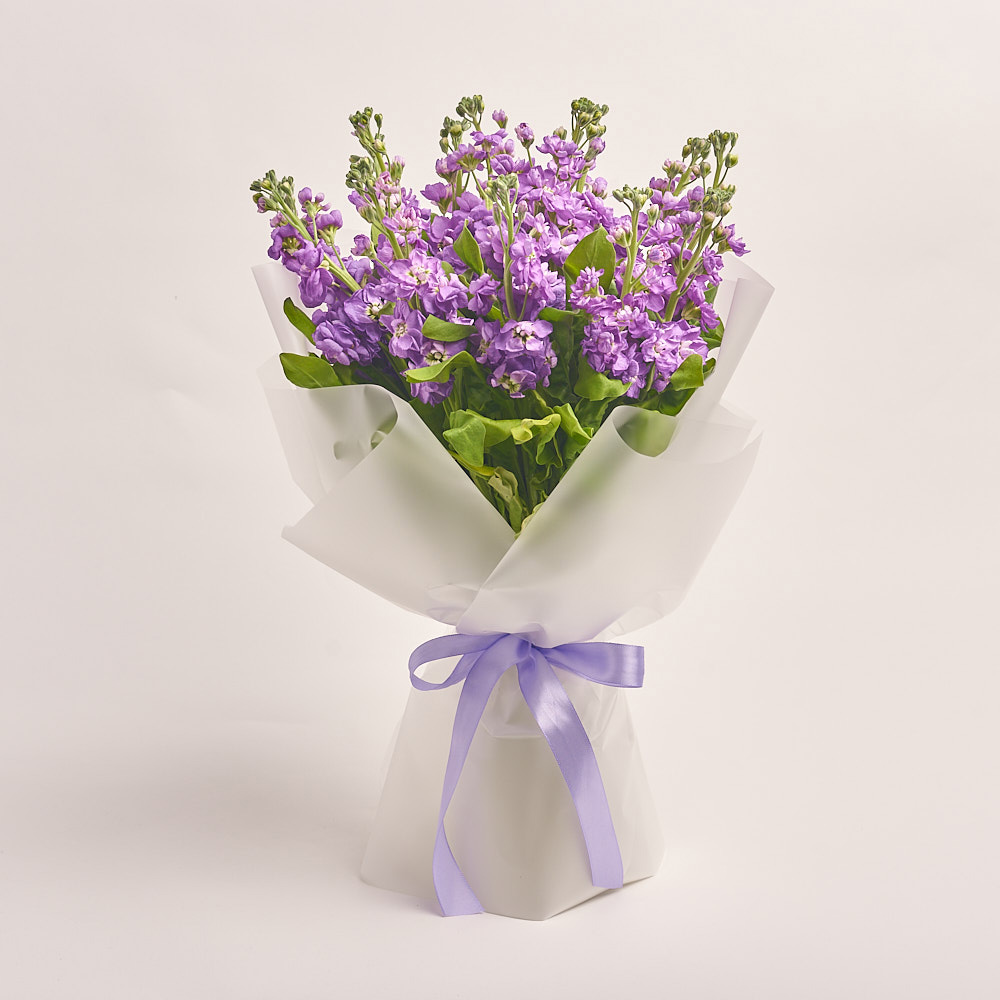 Product image Bouquet 15 Violet Matthiolus, vendor code: 3151