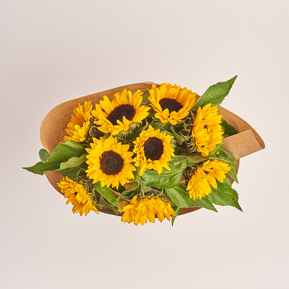 Product image , vendor code: 