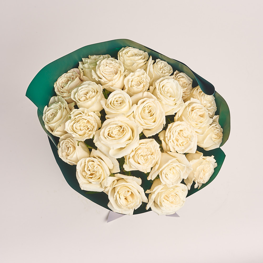 Зображення товару , артикул: 