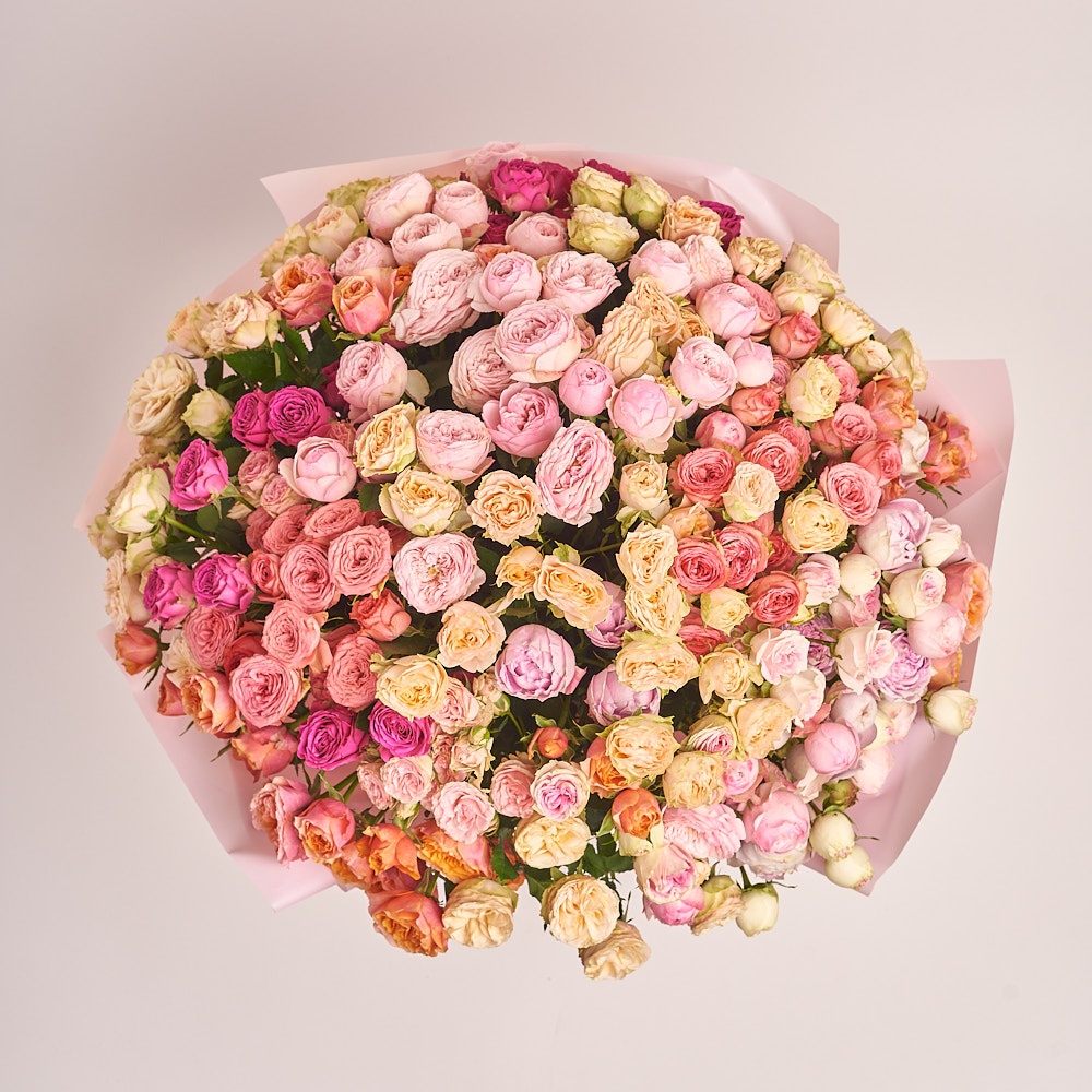 , vendor code:  Product image , vendor code: