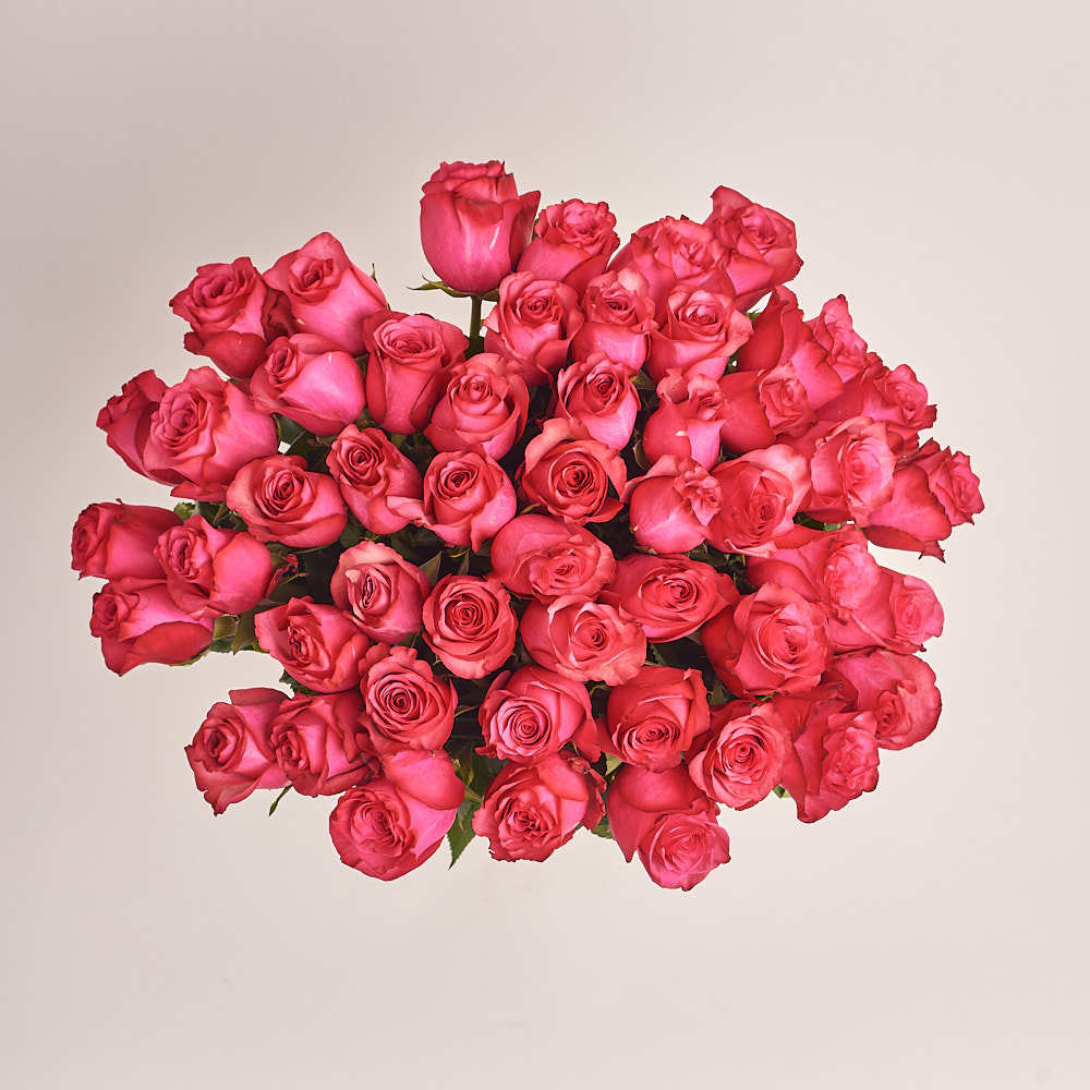 Product image Bouquet of 51 Ruspberry Roses, vendor code: 3202