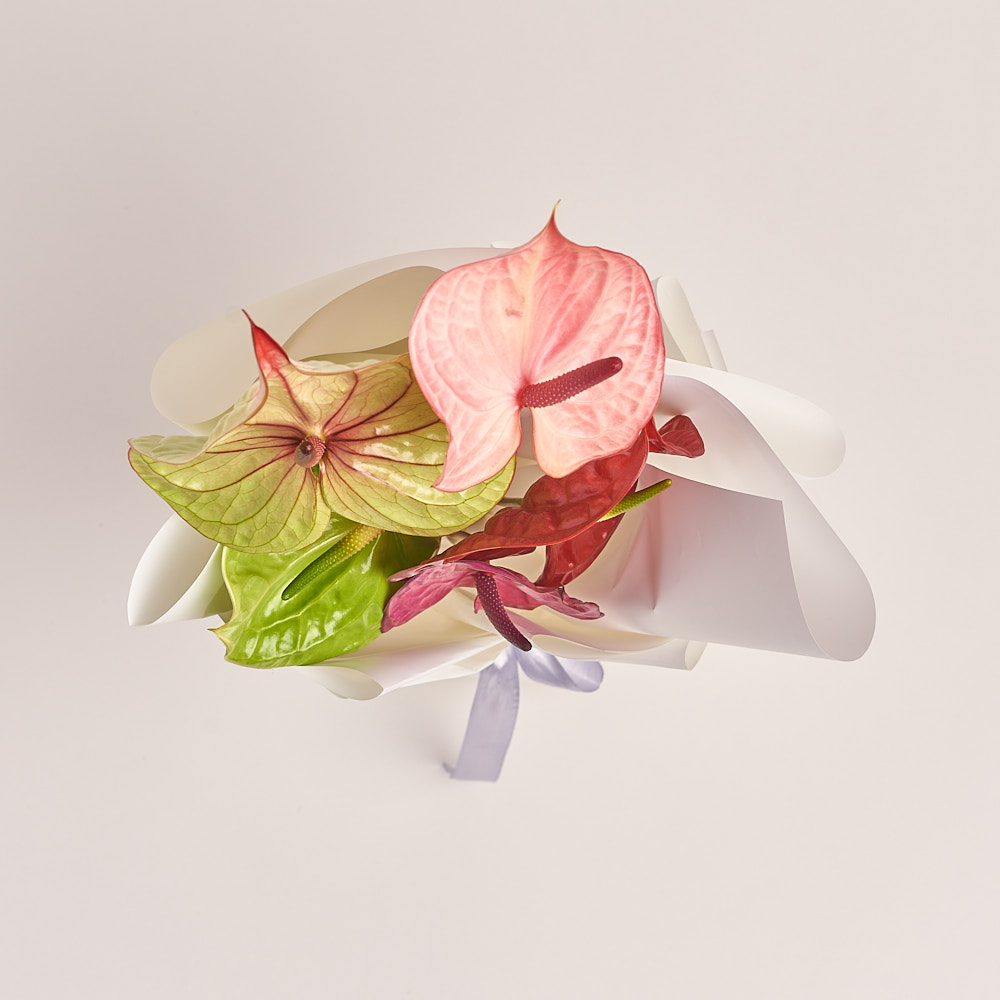 Зображення товару , артикул: 