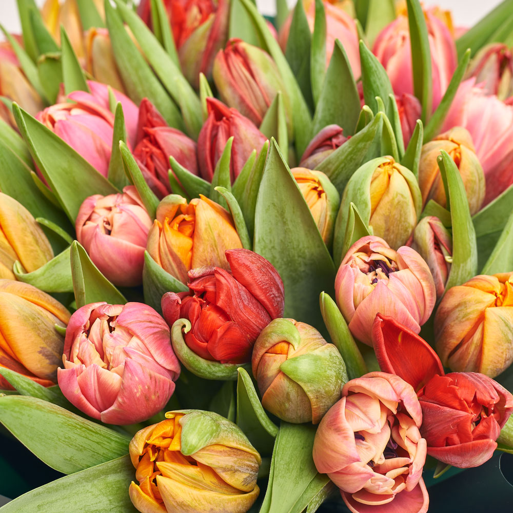 Изображение товара , артикул: 