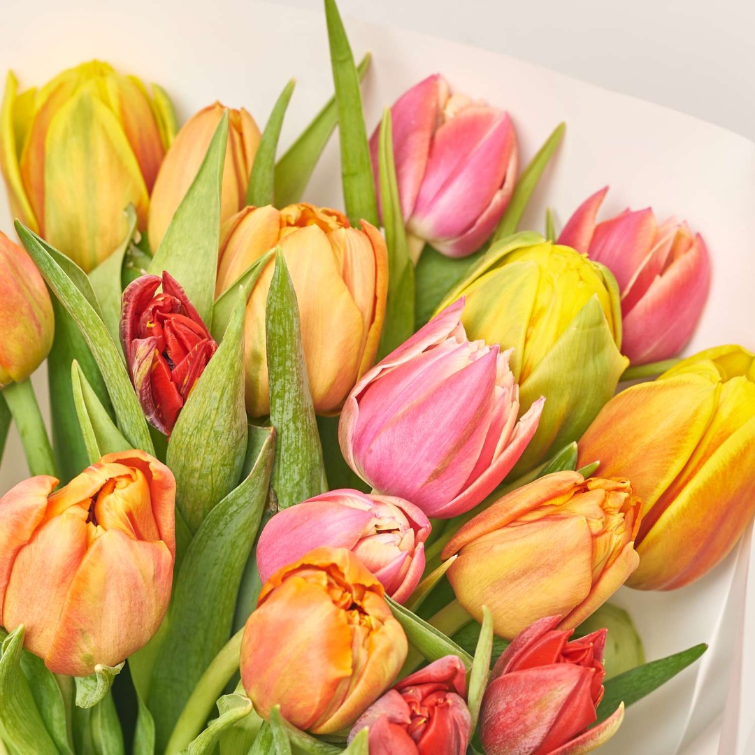 Product image Bouquet 25 tulips Мix peony, vendor code: 3236