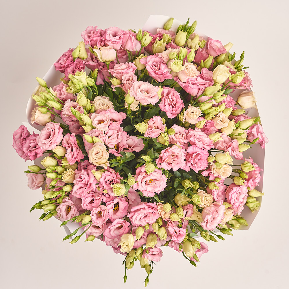 Product image Bouquet of 51 Light Pink Eustomas, vendor code: 3261