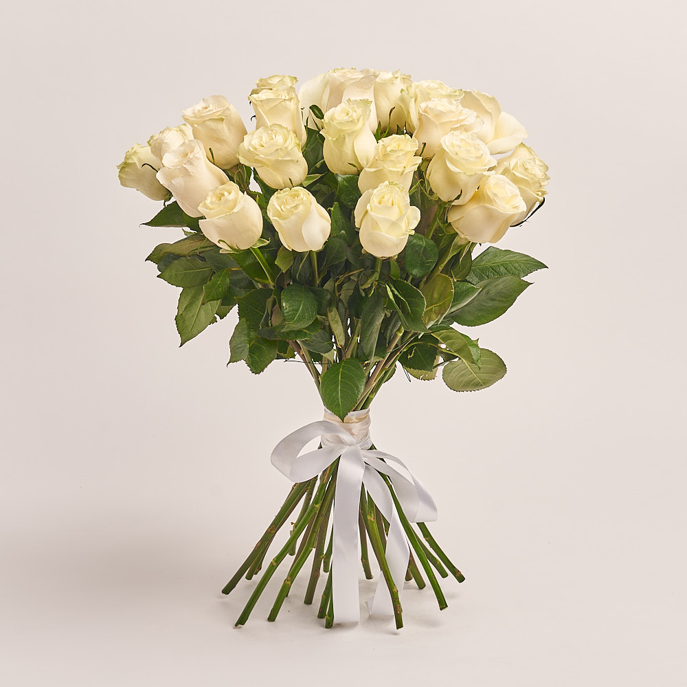 Product image , vendor code: 