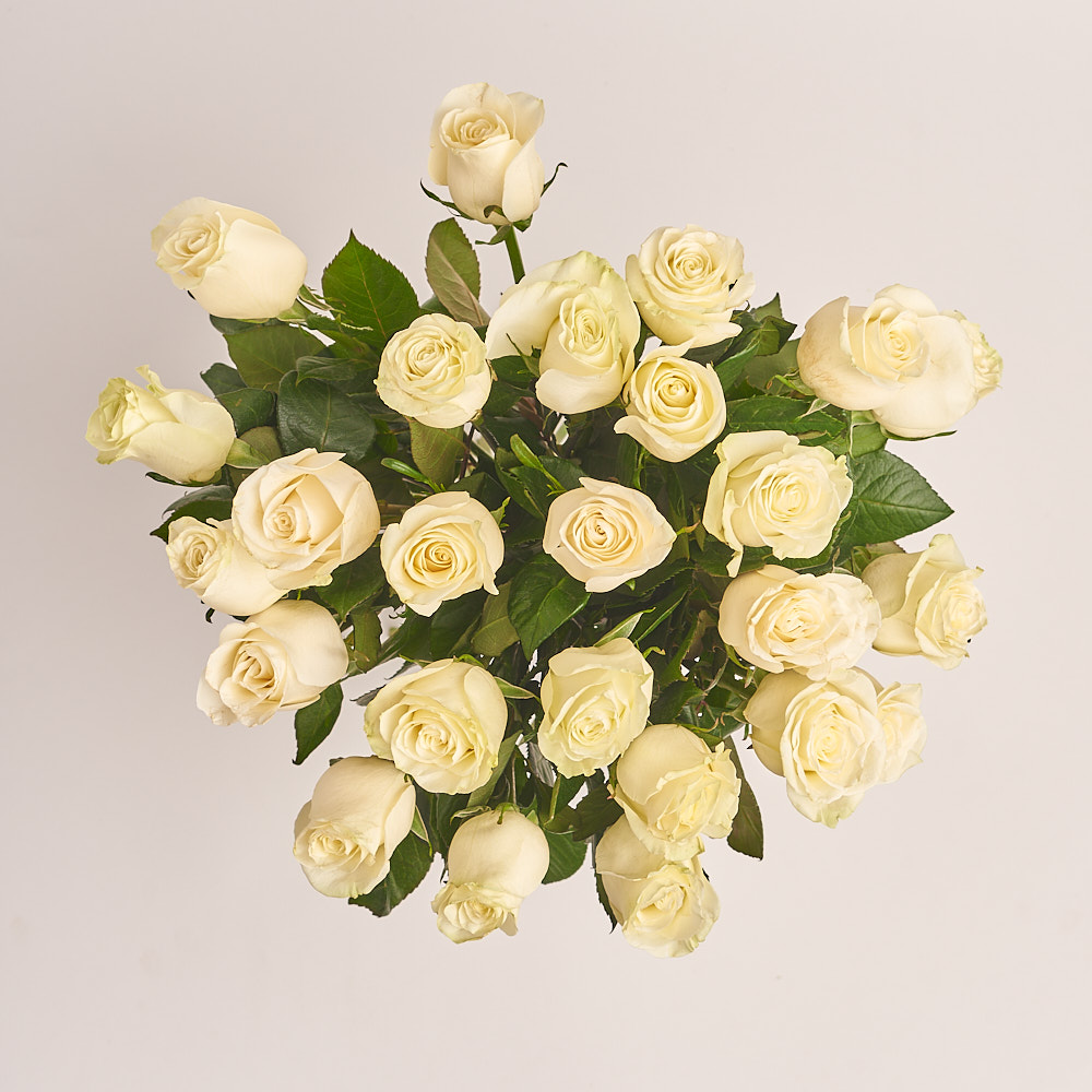 Product image , vendor code: 