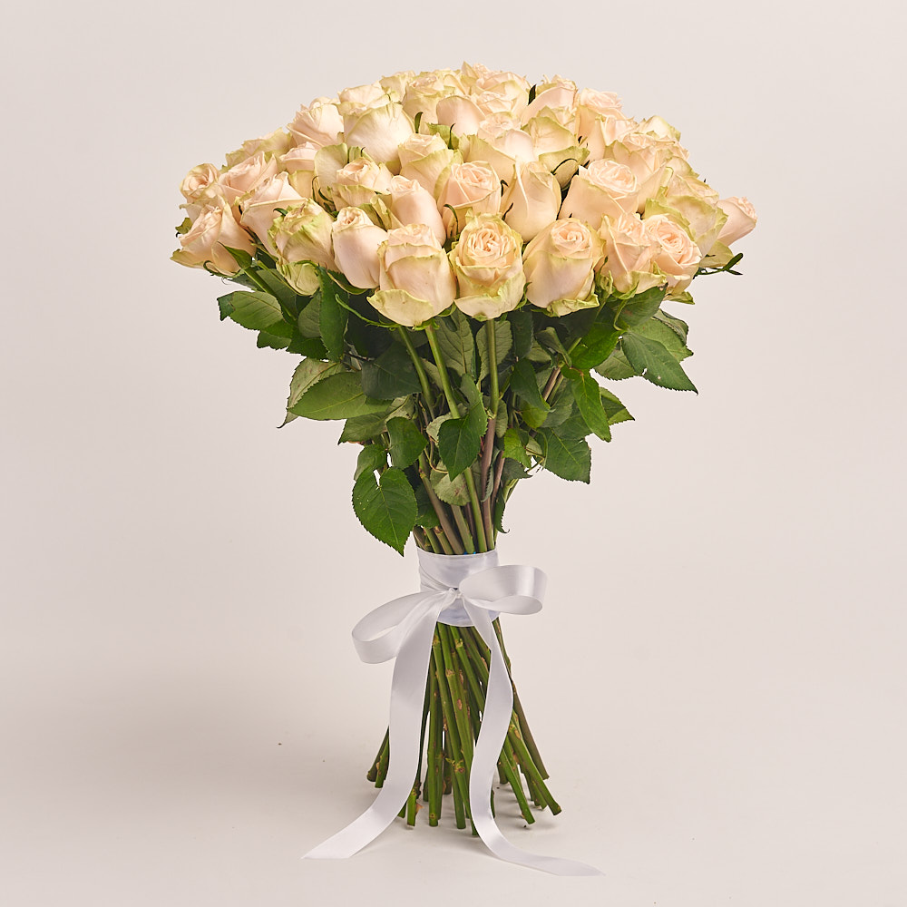 Product image , vendor code: 