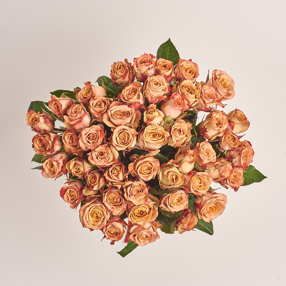 Product image Bouquet of 51 Roses Сappuccino, vendor code: 3321
