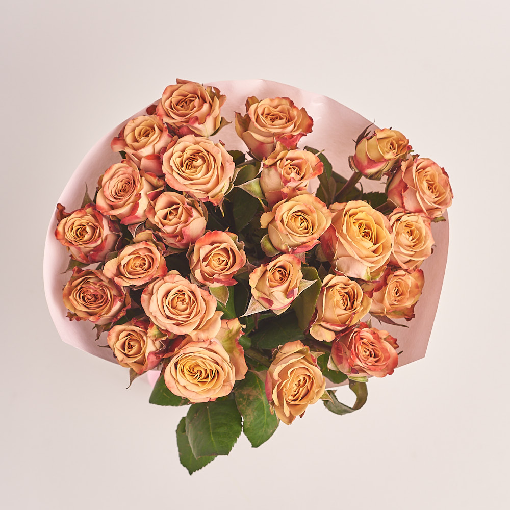 Изображение товара , артикул: 