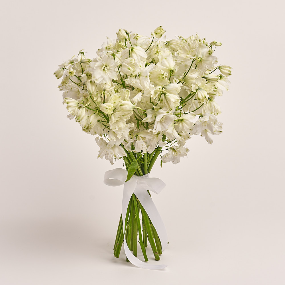 Product image Bouquet 19 White Delphiniums, vendor code: 3335