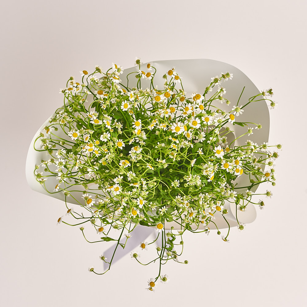 Product image Bouquet 15 Tanacetums, vendor code: 3336