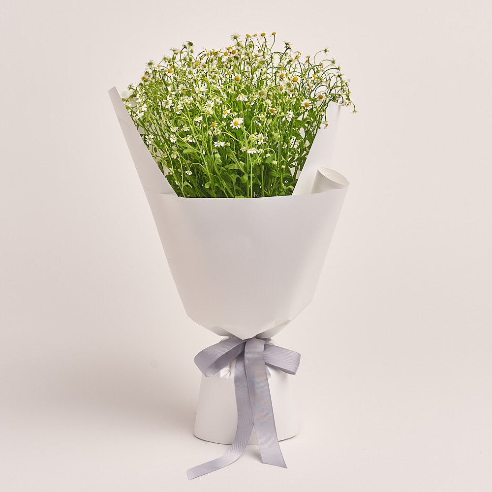 Product image Bouquet 15 Tanacetums, vendor code: 3336