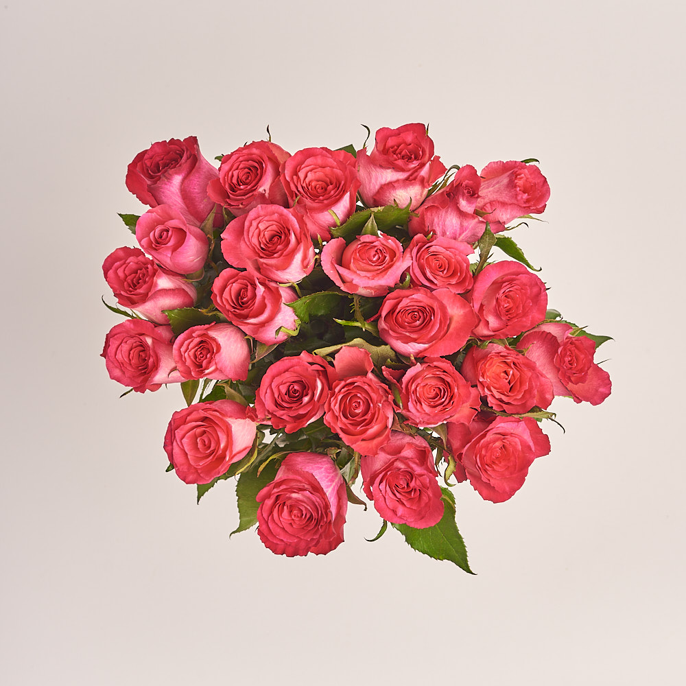 Product image Bouquet of 25 Roses Nicolette, vendor code: 3364