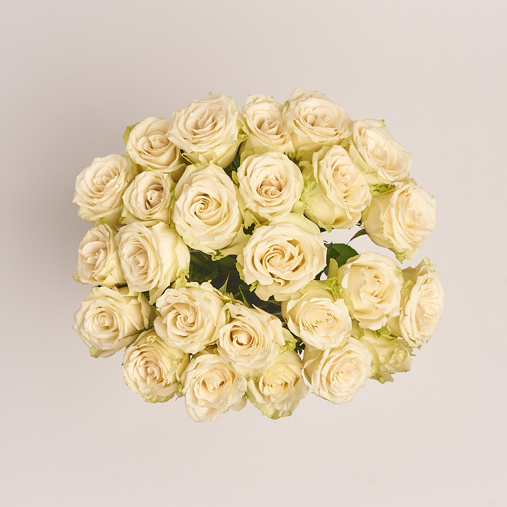Product image Bouquet of 25 Roses Adalonia, vendor code: 3386