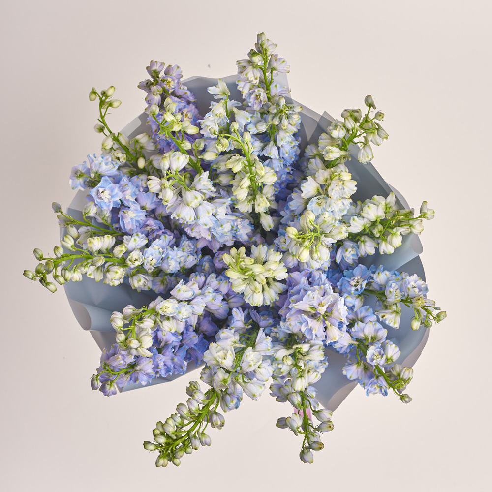 Product image Bouquet of 25 Delphiniums tender Мix, vendor code: 3407