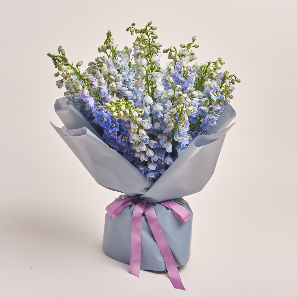 Product image Bouquet of 25 Delphiniums tender Мix, vendor code: 3407