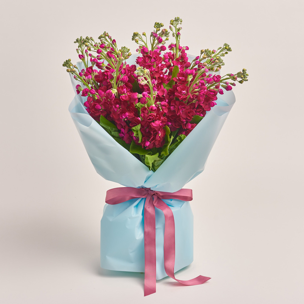 Product image Bouquet of 15 Red Matthioles, packaging: Blue, vendor code: 3415