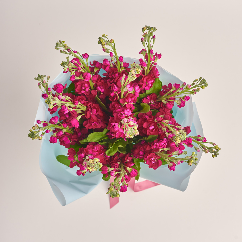 Product image Bouquet of 15 Red Matthioles, packaging: Blue, vendor code: 3415