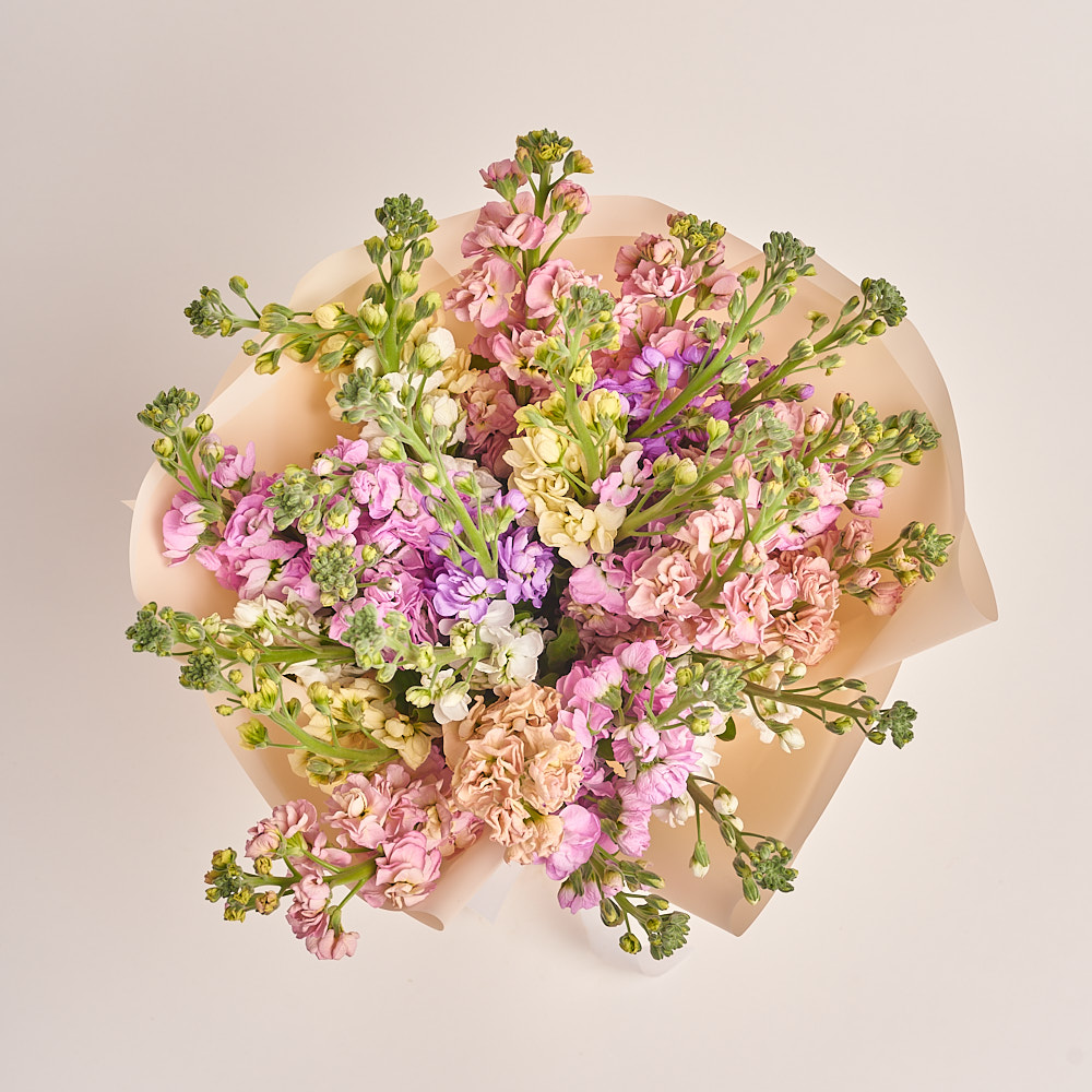 Product image Bouquet of 25 Matthioles Мix, vendor code: 3416
