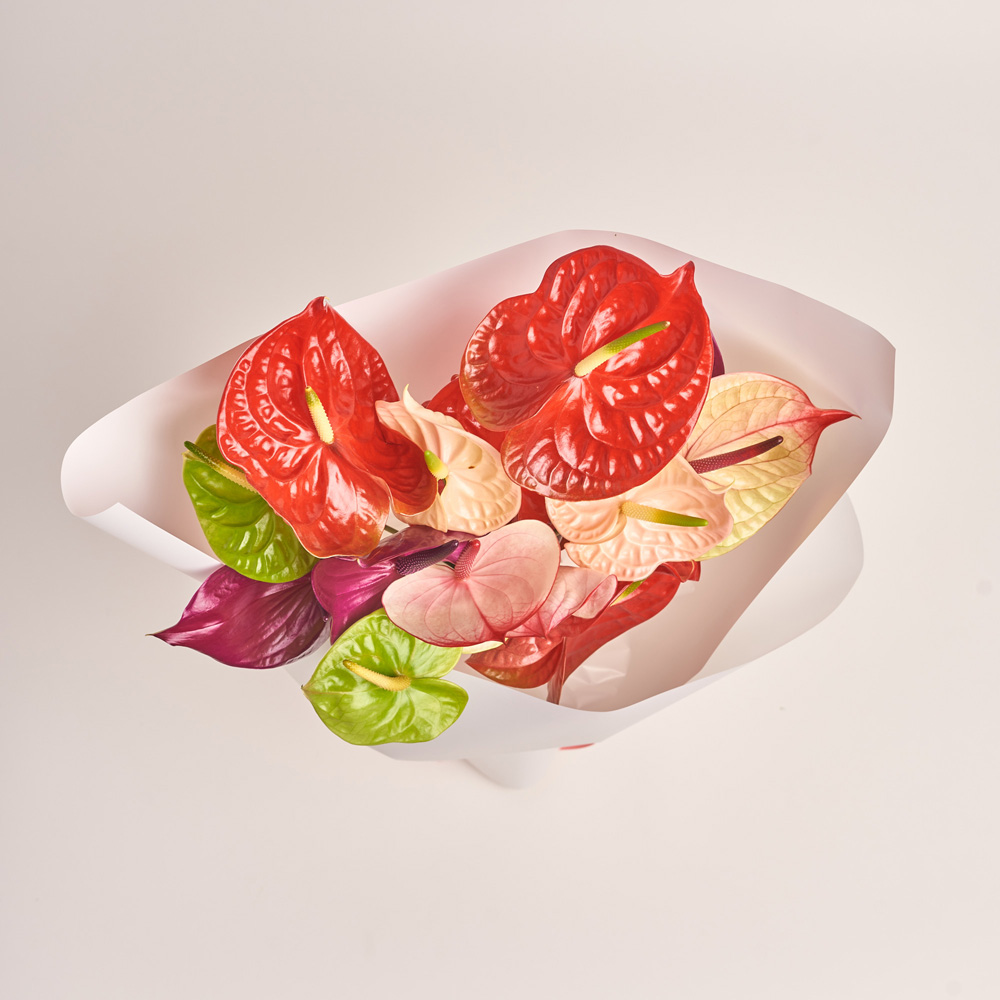 Product image , vendor code: 