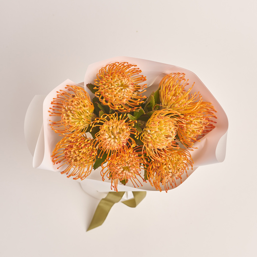 Product image , vendor code: 