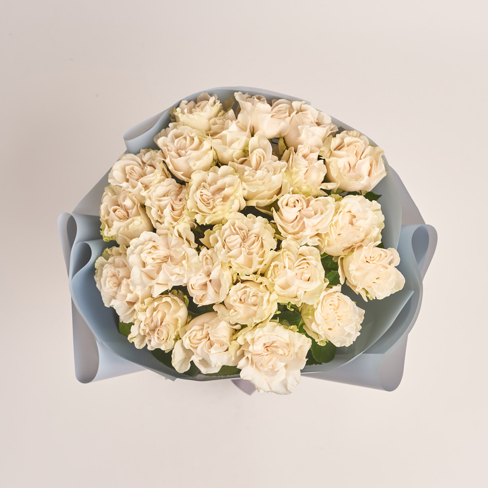 Product image , vendor code: 