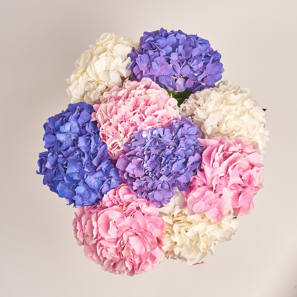 Product image , vendor code: 