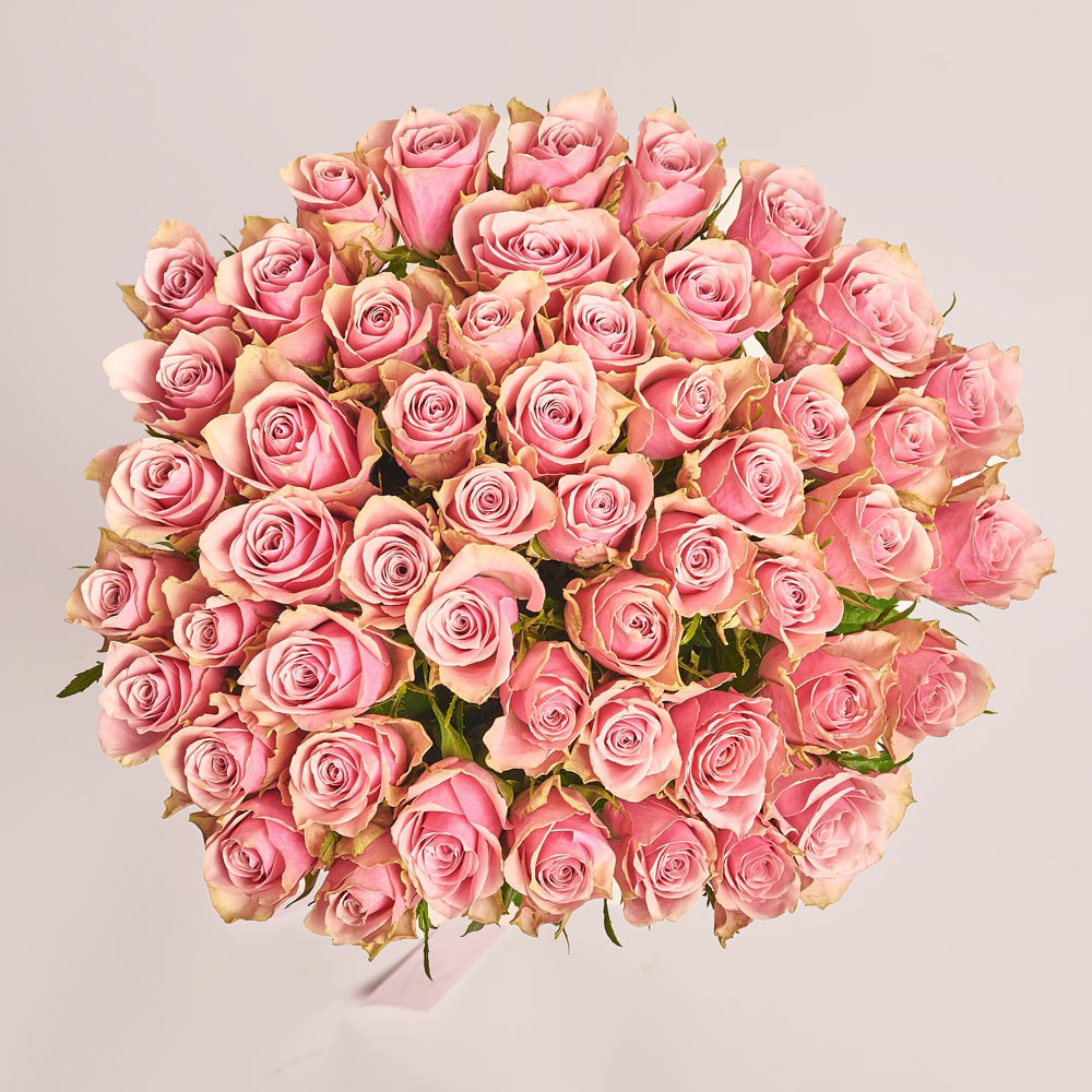 Product image , vendor code: 
