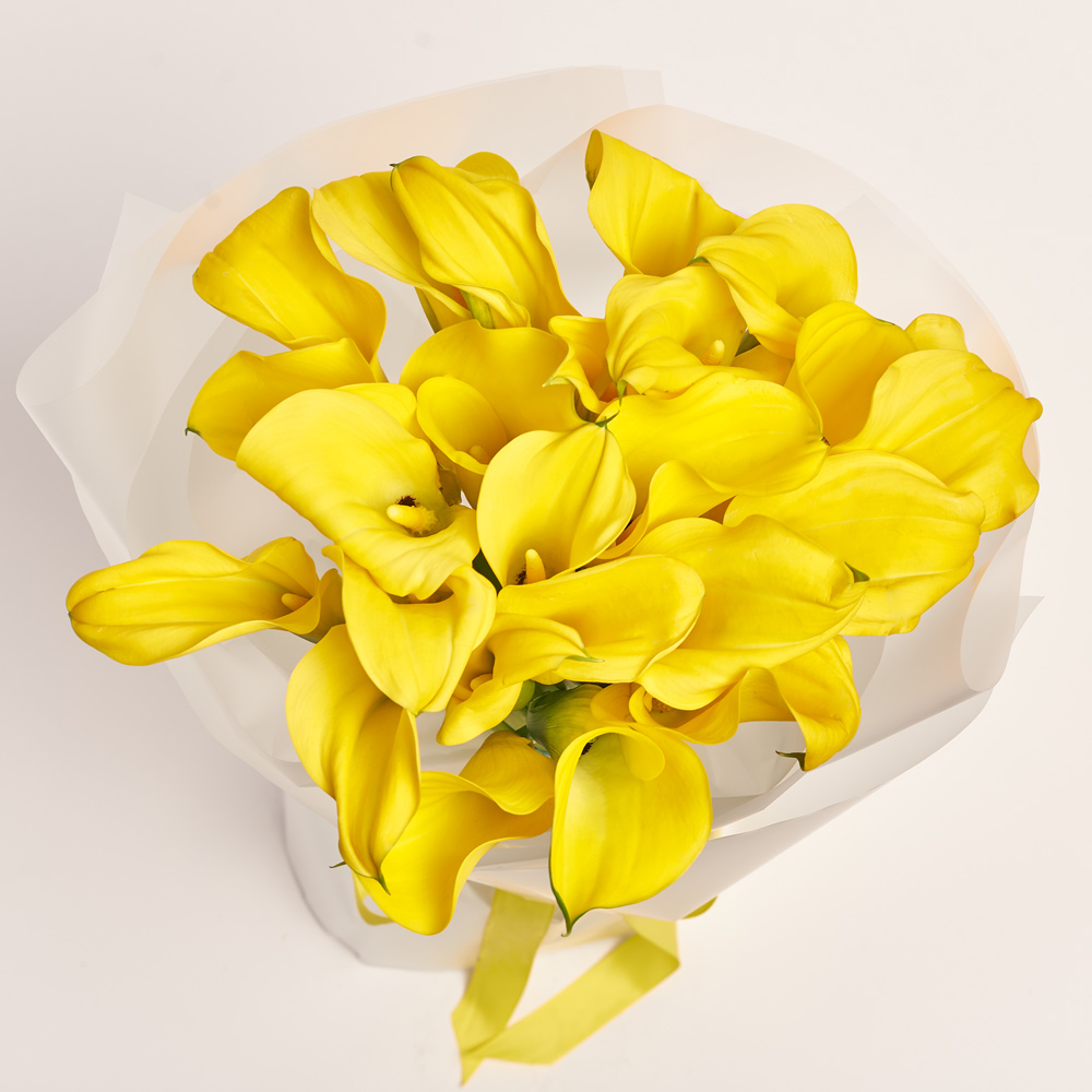 Product image , vendor code: 