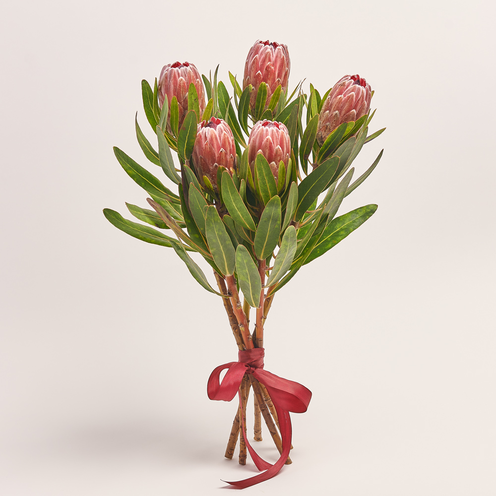 Product image , vendor code: 