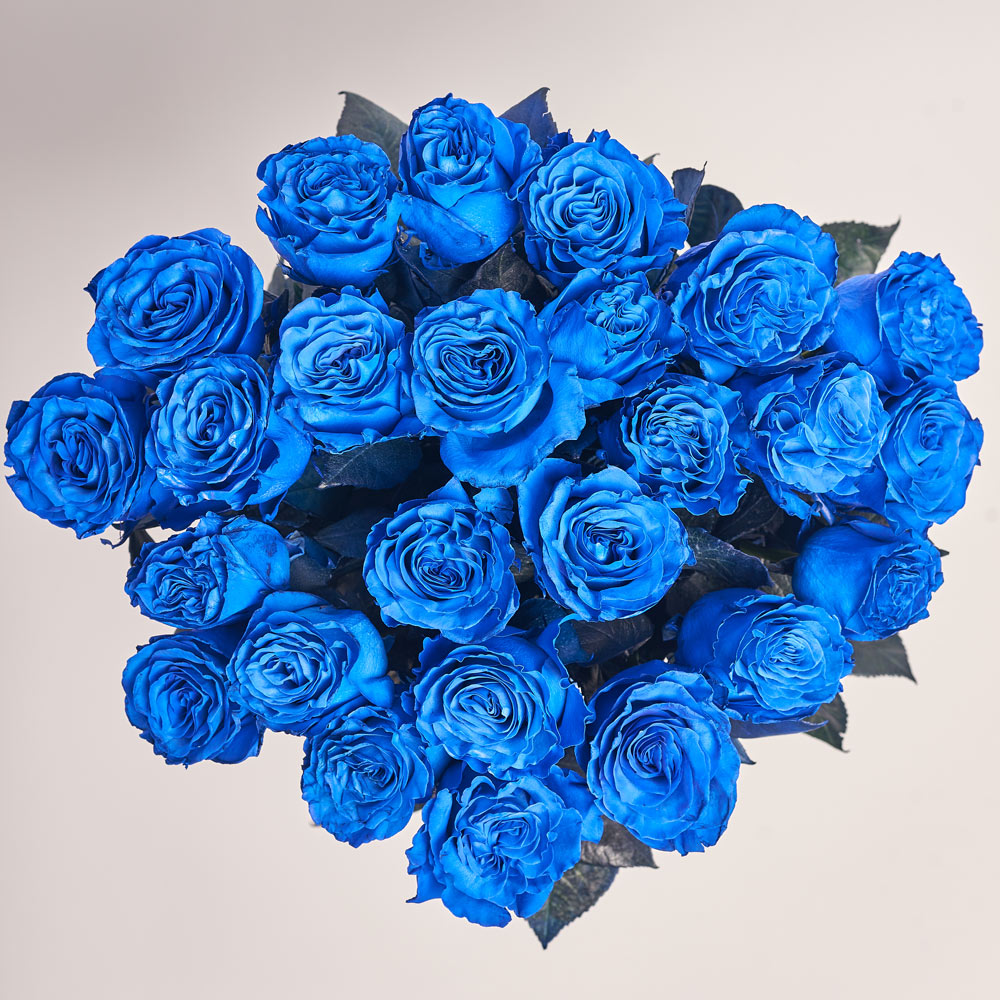 Product image , vendor code: 