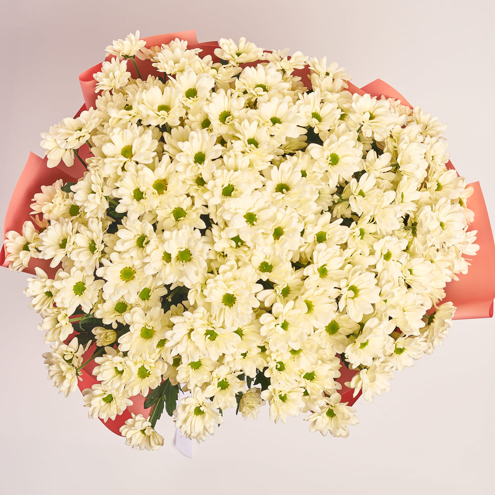Product image Bouquet of 25 cream Сhrysanthemums, vendor code: 3657