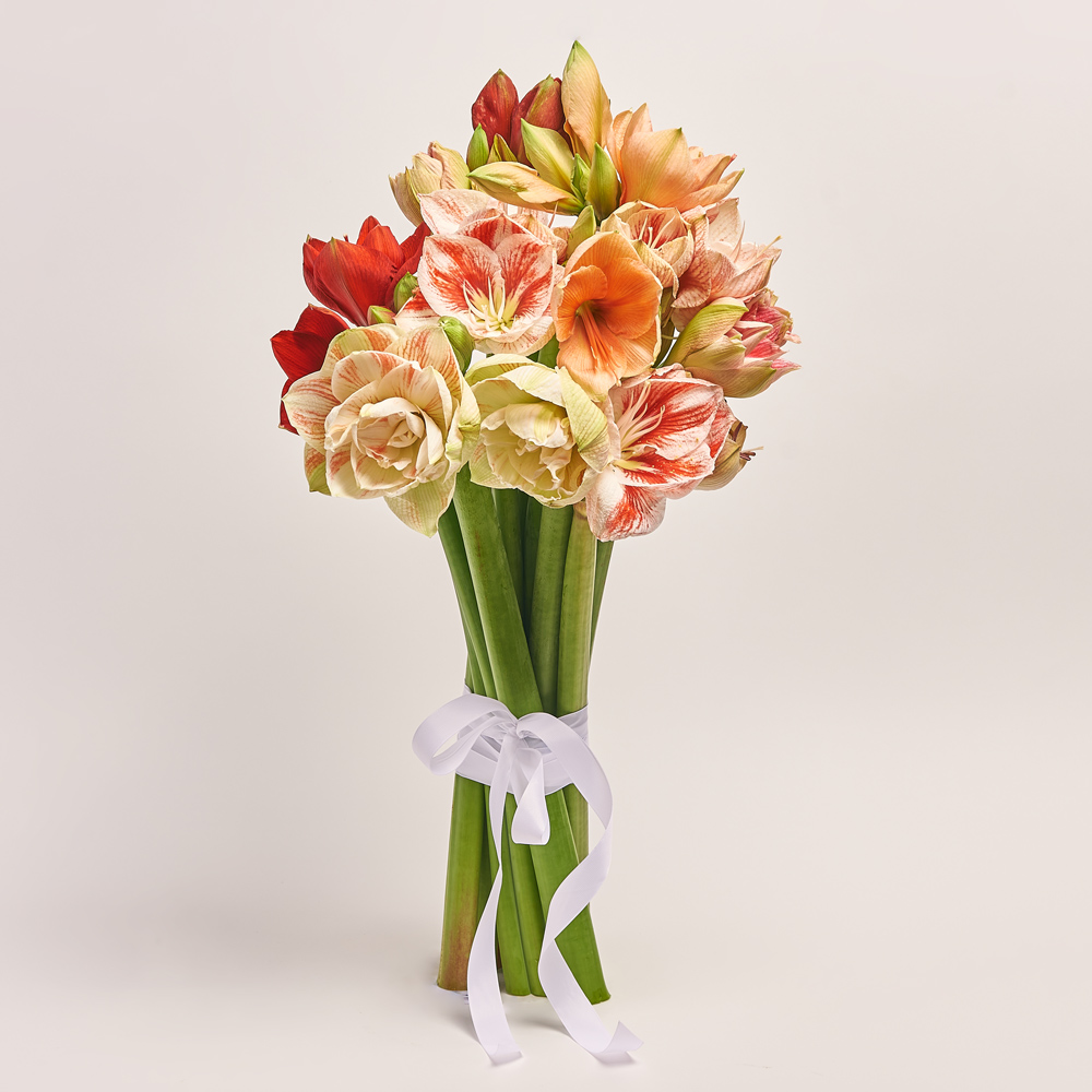 Product image Bouquet of 11 Amaryllis mix, packaging: Without packaging, vendor code: 3658