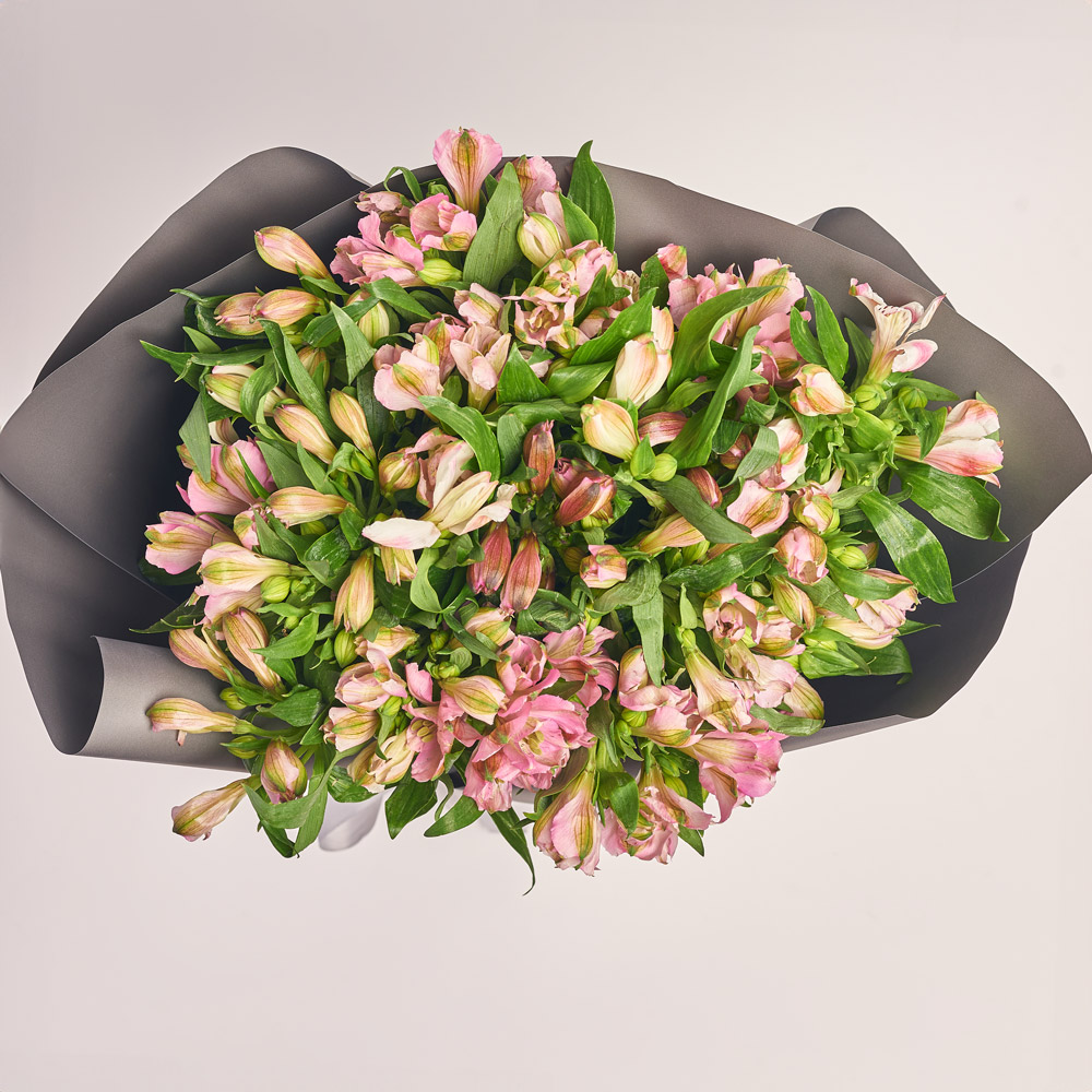 Product image , vendor code: 
