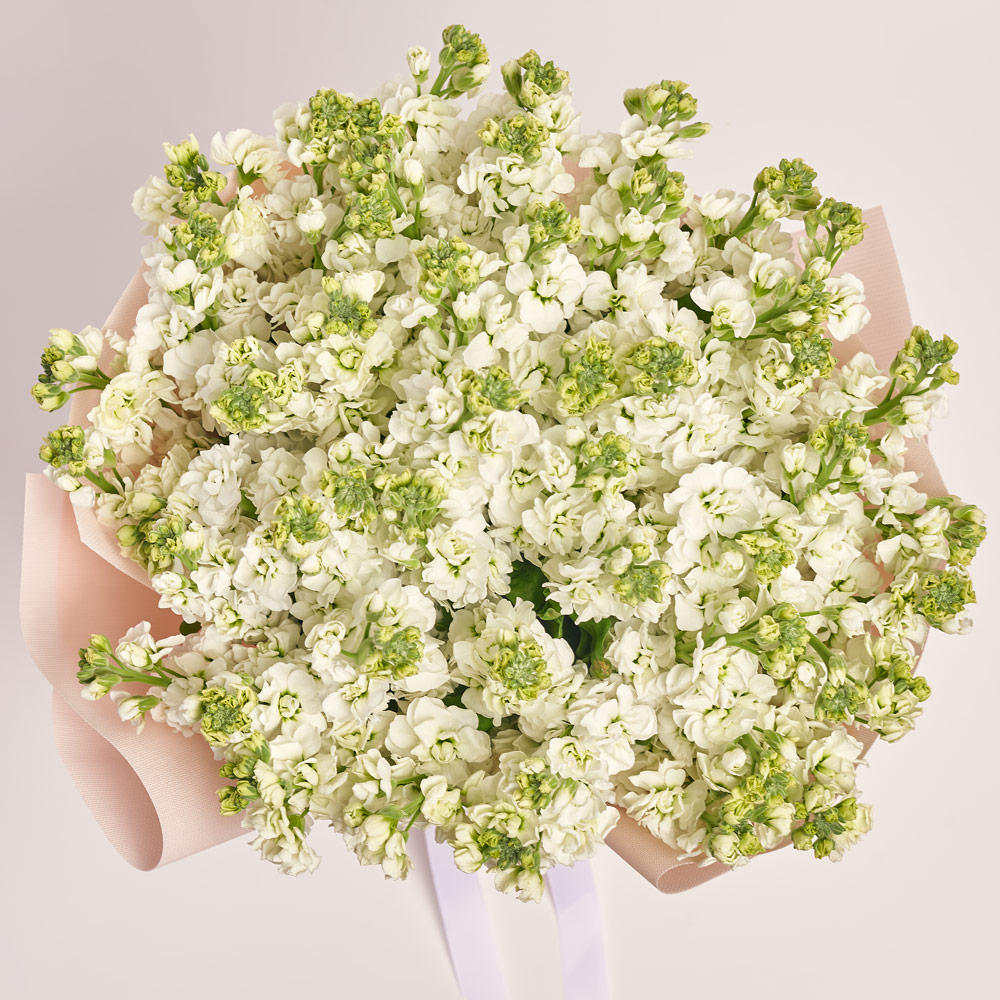 Product image Bouquet 51 White Matiola, packaging: Kafin rose, vendor code: 3663