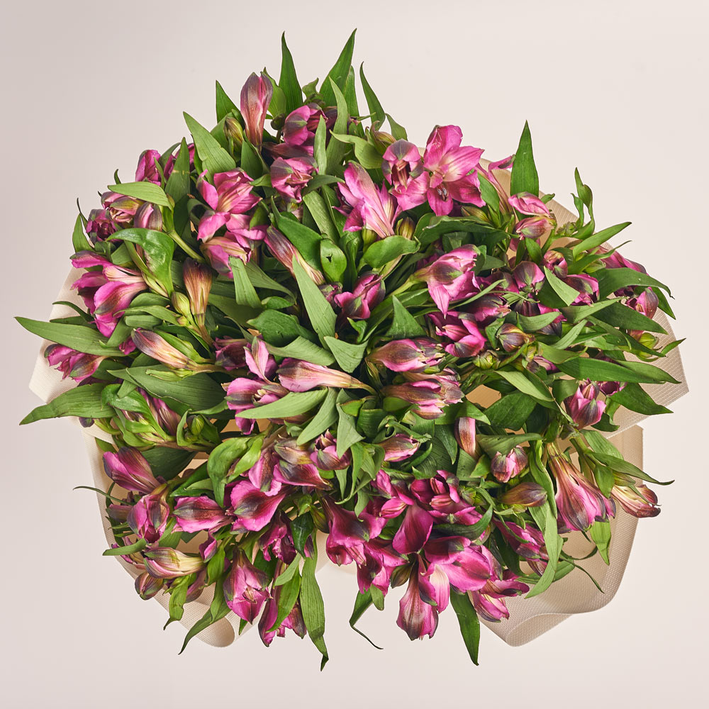 Product image Bouquet of 25 purple Alstroemerias, vendor code: 3664