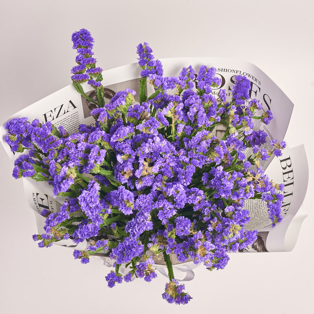 Product image , vendor code: 