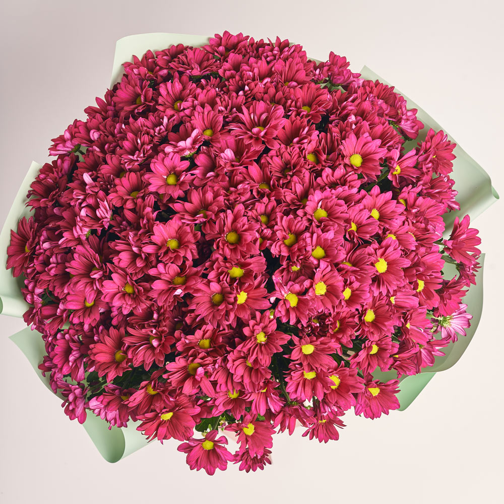 Product image Bouquet of 25 Purple Chrysanthemum Daisies, packaging: Gradiens tiffany, vendor code: 3699