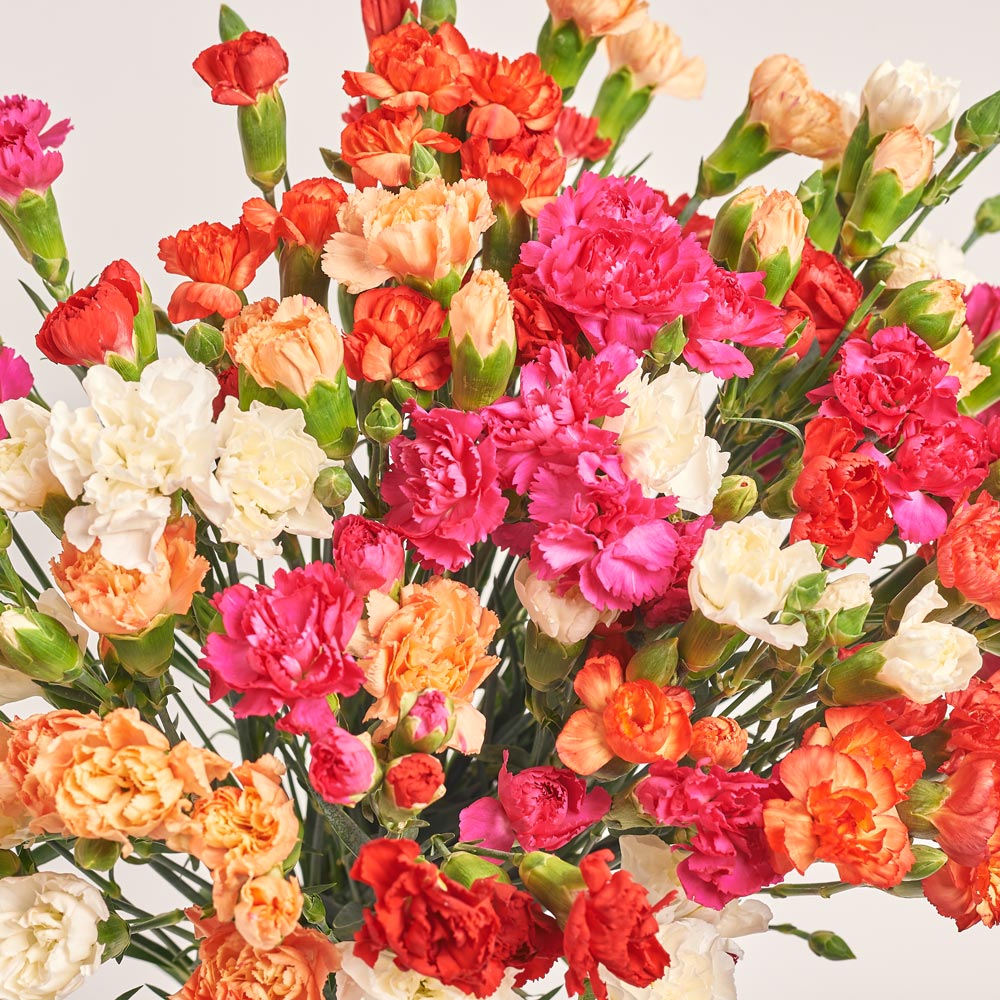 Product image Bouquet 33 Carnations Spray Mix, packaging: Kafin rose, vendor code: 3710