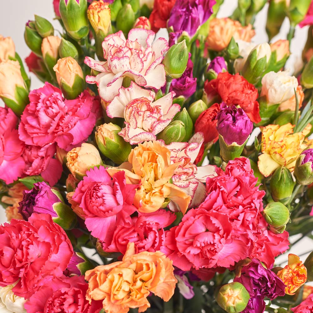 Product image Bouquet 51 Bright Spray Carnation Mix, packaging: Powder, vendor code: 3711